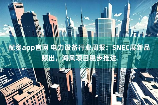配资app官网 电力设备行业周报：SNEC展新品频出，海风项目稳步推进