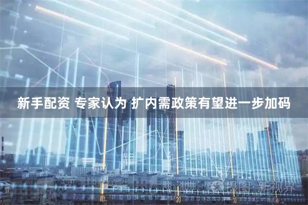 新手配资 专家认为 扩内需政策有望进一步加码